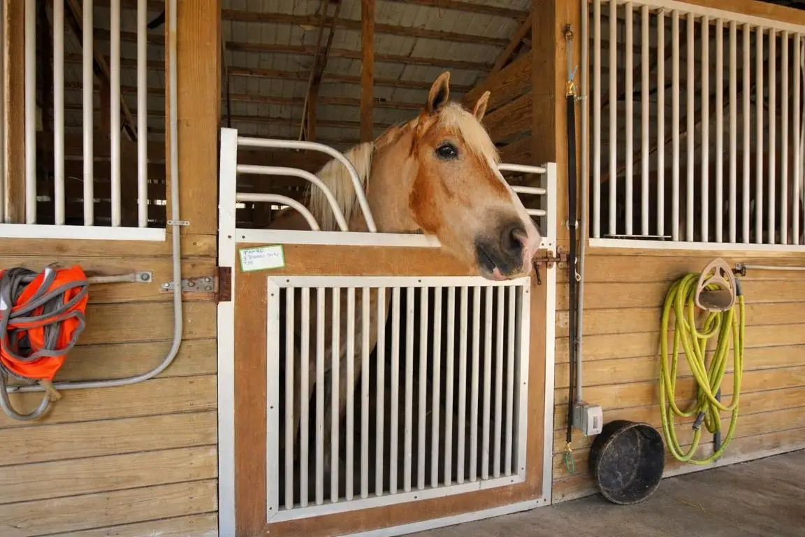 2141 B Road, Loxahatchee Groves, FL 33470 - Image #1