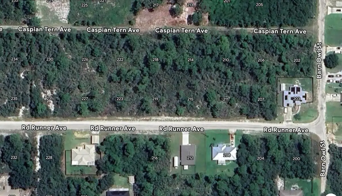 215 Roadrunner Avenue, Sebring, FL 33870 - Image #1