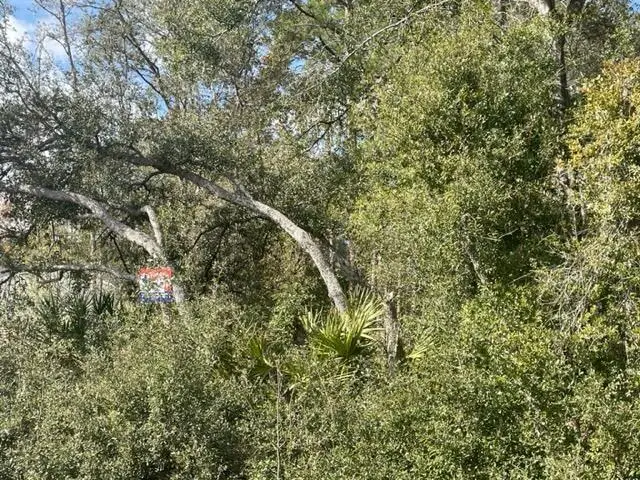 000 Malauka Cir Circle, Ocklawaha, FL 32179 - Image #1