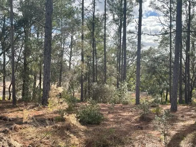 000 Malauka Cir Circle, Ocklawaha, FL 32179 - Image #2