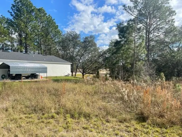 000 Malauka Cir Circle, Ocklawaha, FL 32179 - Image #3