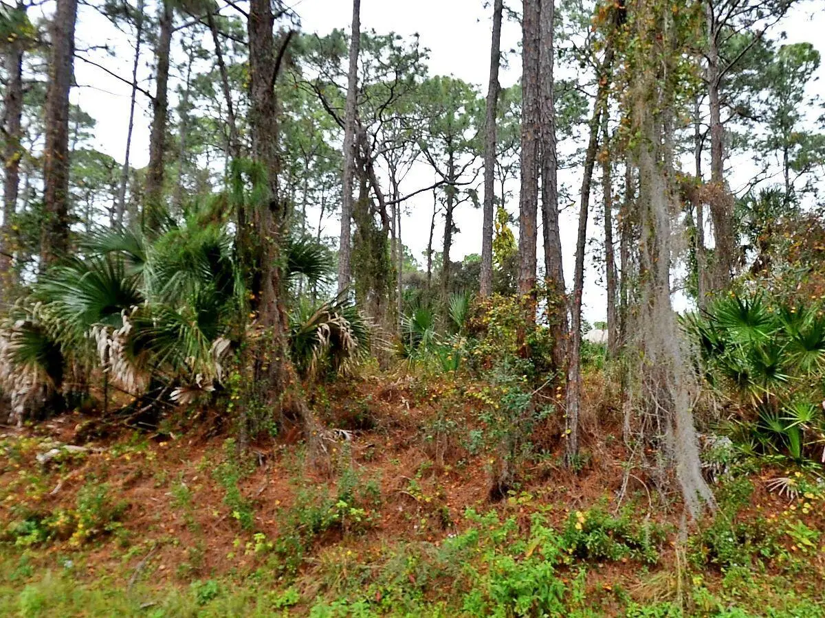 Tbd Giblin Drive, North Port, FL 34286 - #1