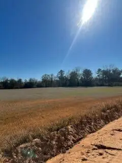 5123 Elmore Road, Marianna, FL 32446 - #3