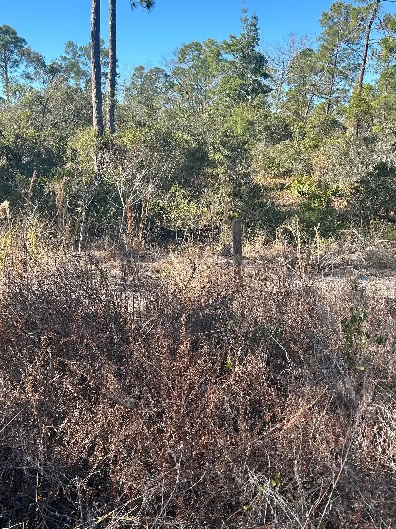 516 Deep River Drive, Lake Placid, FL 33852 - Image #1