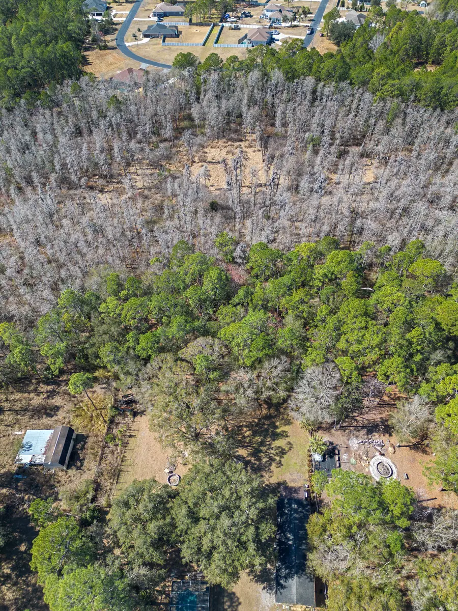 27344 Elkwood Circle, Wesley Chapel, FL 33544 - Image #3