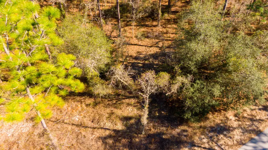 0000 SW Commodore Road, Dunnellon, FL 34431 - #2