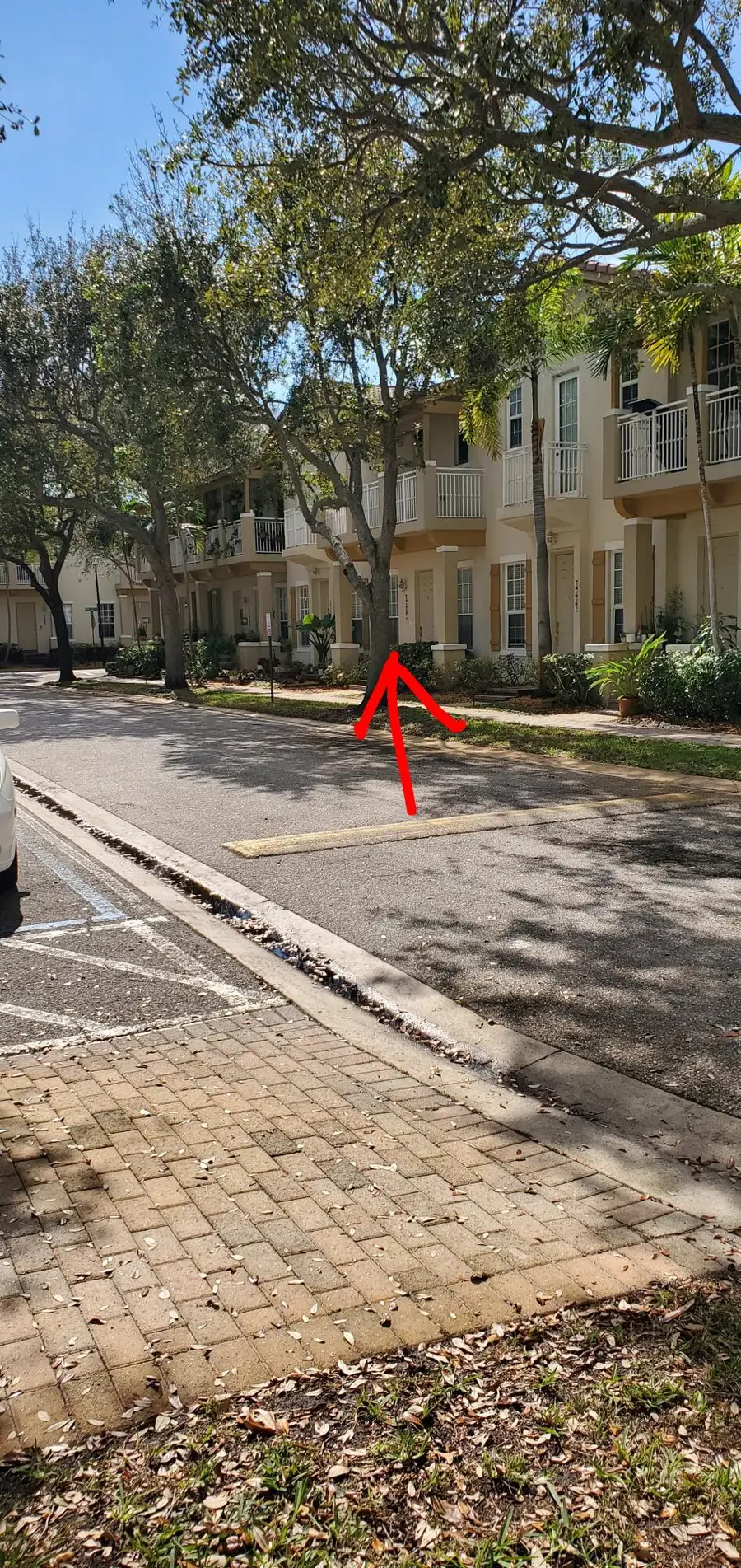 2407 NW 5th Street, Boynton Beach, FL 33426 - Image #3