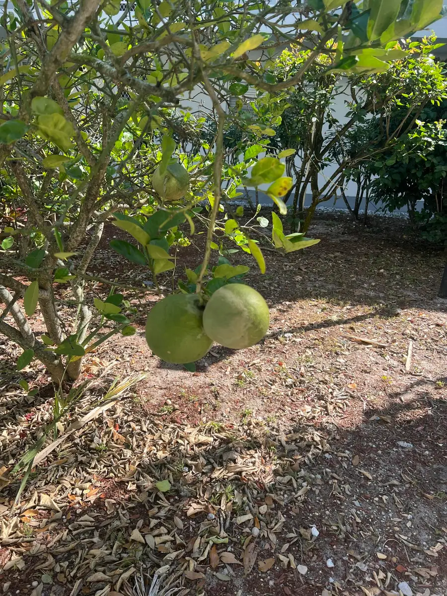 2302 Sunrise Boulevard #3-201, Fort Pierce, FL 34982 - #2