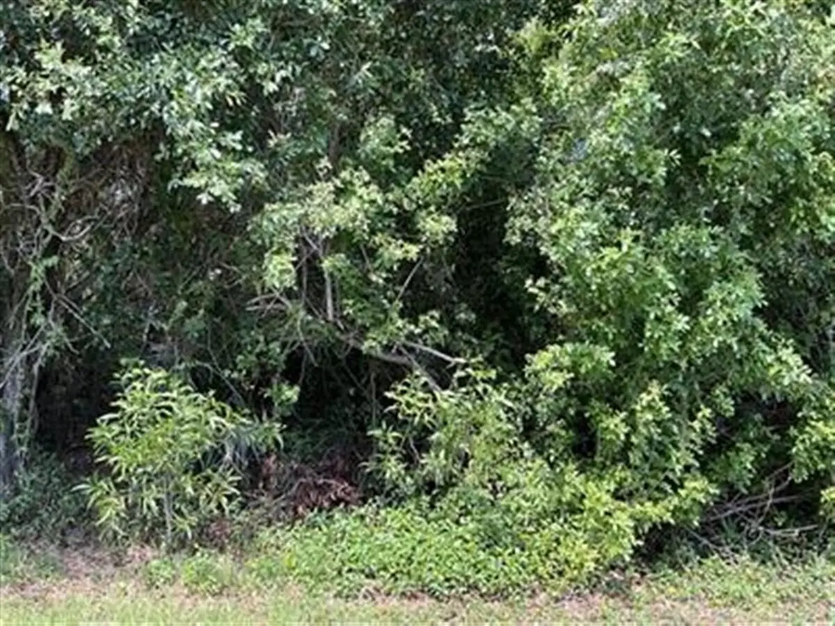 Address Withheld By Seller, Port Saint Lucie, FL 34952 - #1