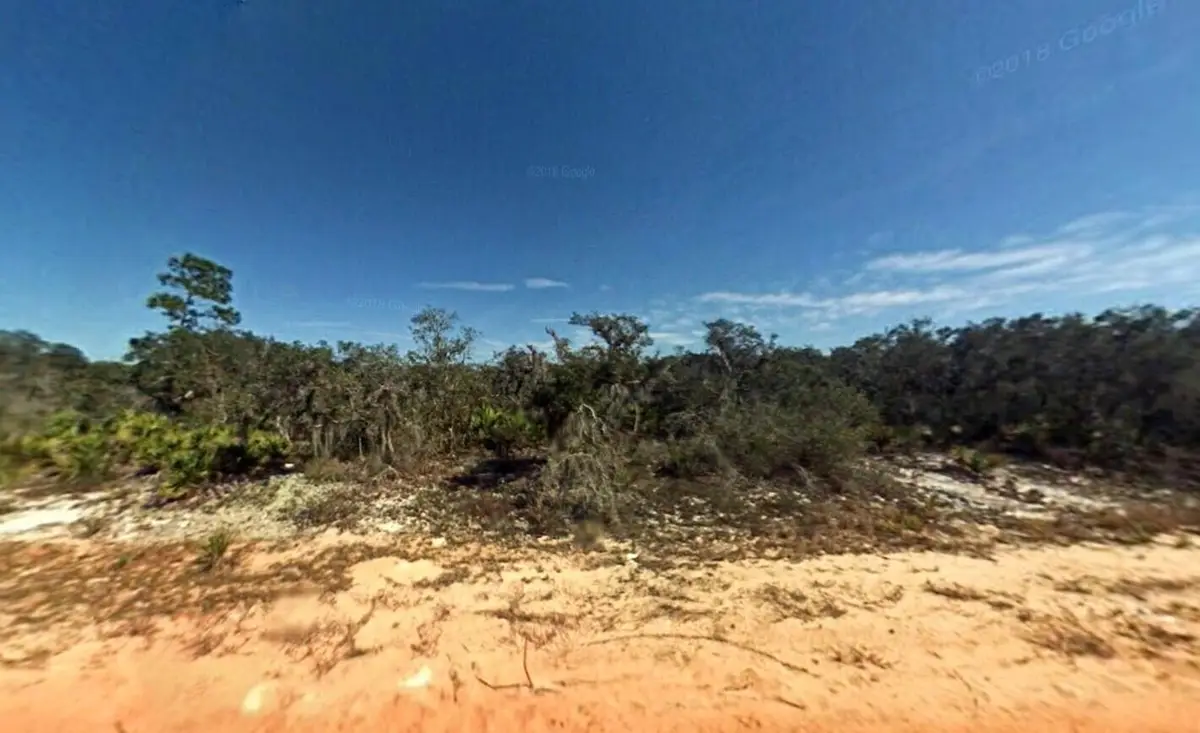 2400 Mink Road, Avon Park, FL 33825 - #1