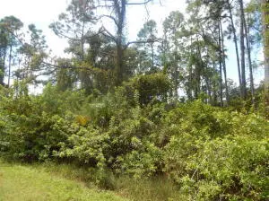 575 Avenida Del Sur, Clewiston, FL 33440