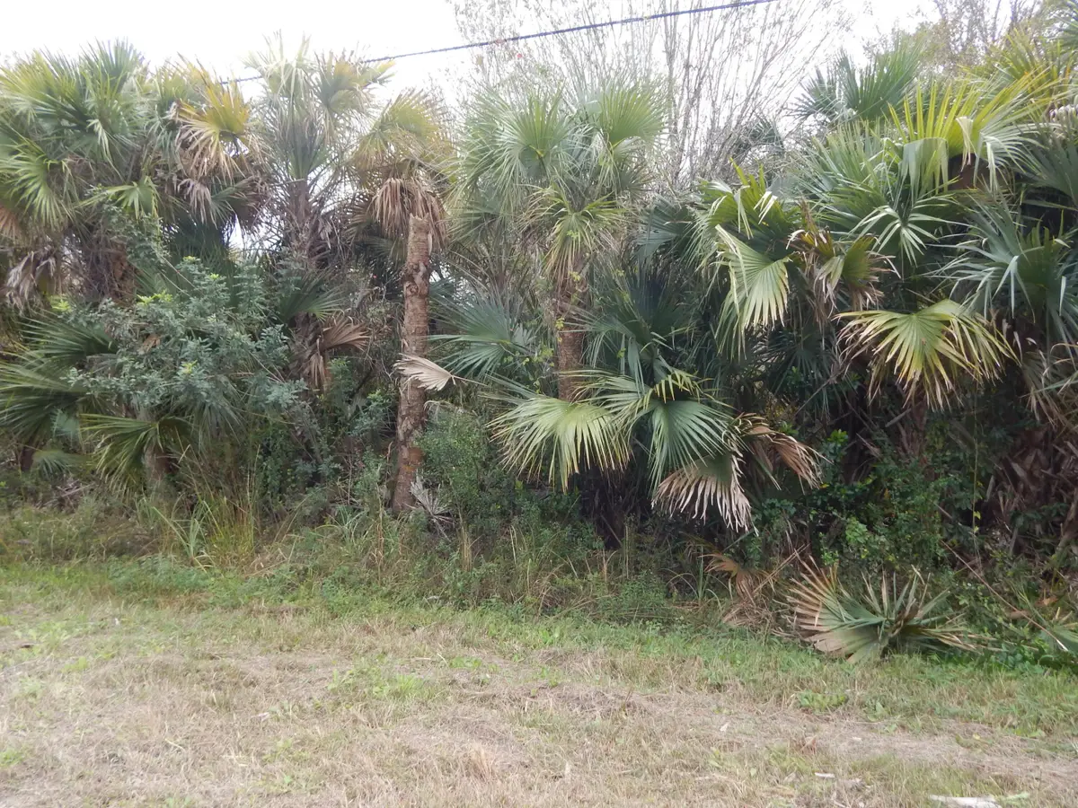 581 Avenida Del Sur, Clewiston, FL 33440 - #1