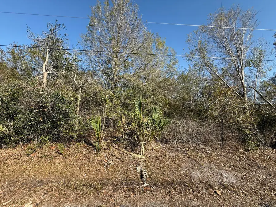 10826 NW 4th Avenue, Okeechobee, FL 34972 - #3