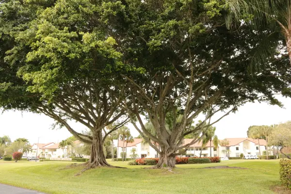 5779 Parkwalk Drive, Boynton Beach, FL 33472