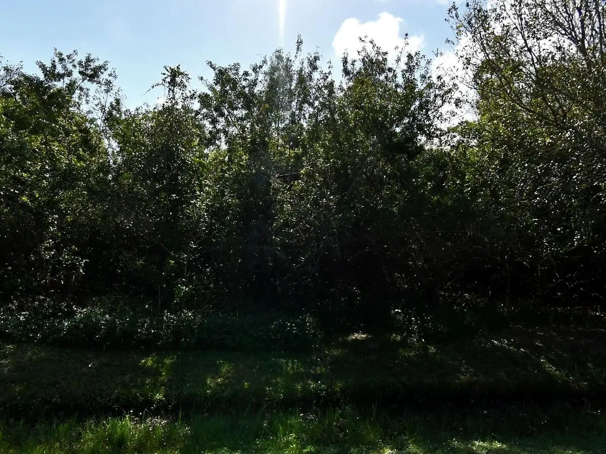 7601 Deer Park Avenue, Fort Pierce, FL 34951 - #1