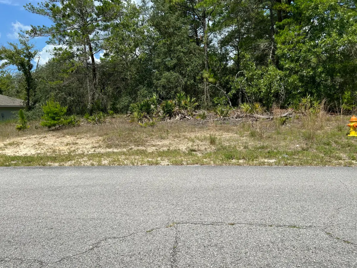 6876 N Sandborn Loop, Dunnellon, FL 34433 - #1