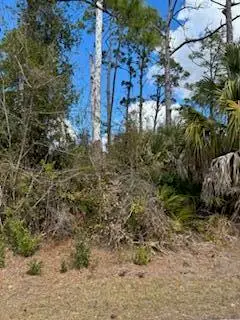 Xxx Eldron Avenue, North Port, FL 34286 - #2