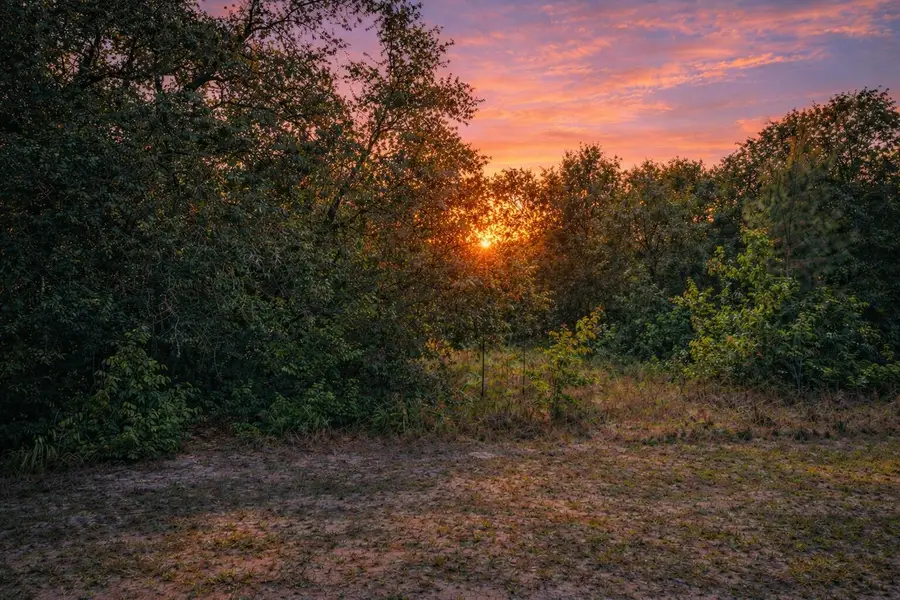 4375 SW 194th Avenue, Dunnellon, FL 34432 - #3