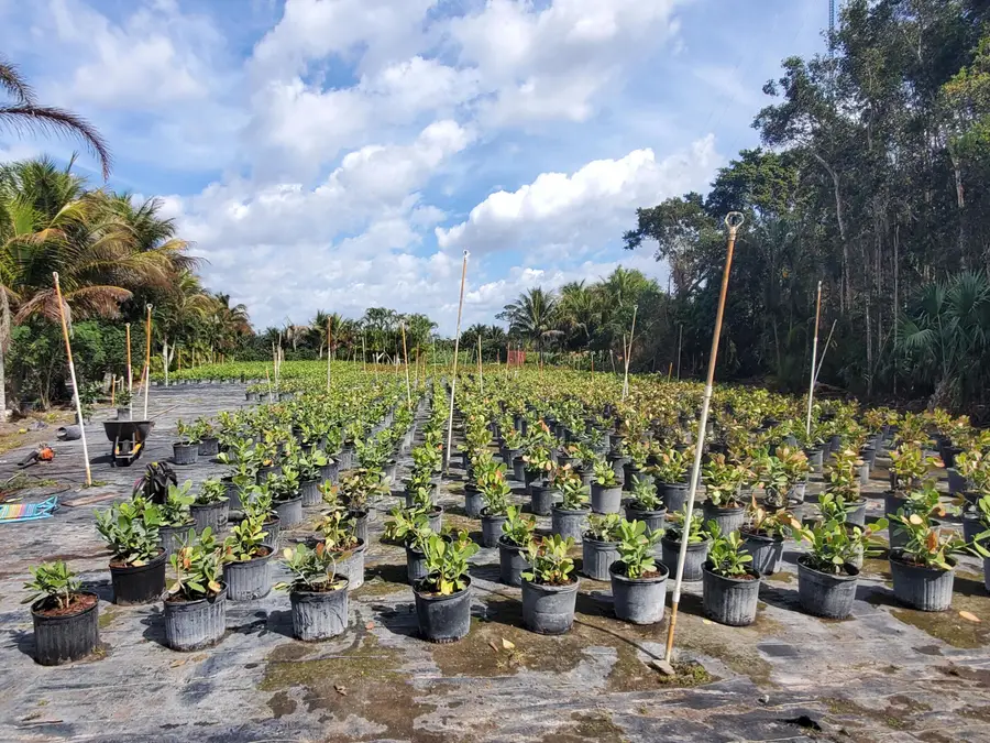 10655 61st Street S, Sunshine Parkway, FL 33449 - #3