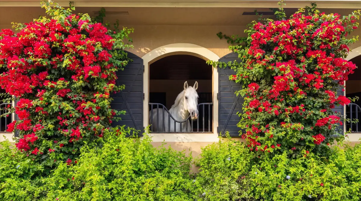 14911 Equestrian Way, Wellington, FL 33414 - #1