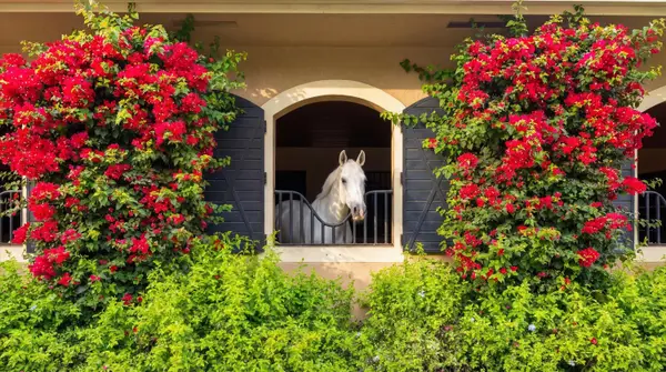 14911 Equestrian Way, Wellington, FL 33414