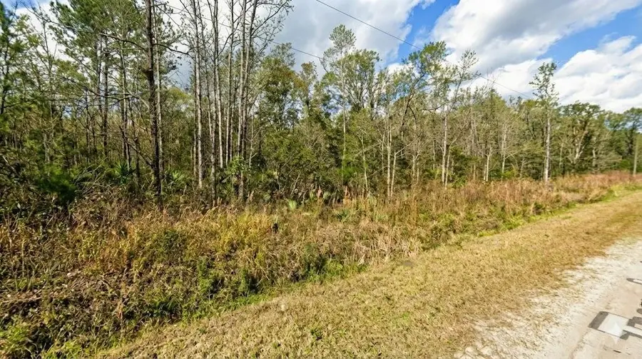 10655 Turpin Avenue, Hastings, FL 32145 - #3