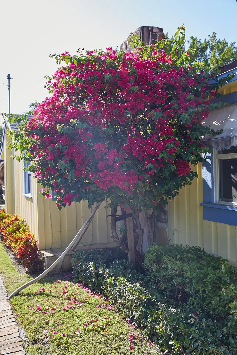 611 S Palmway, Lake Worth Beach, FL 33460 - #3