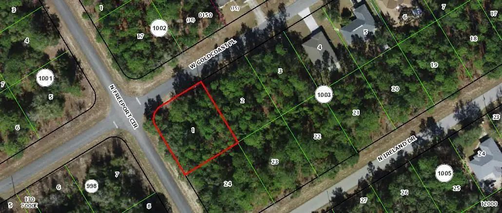 156 W Goldcoast Place, Citrus Springs, FL 34434 - #1