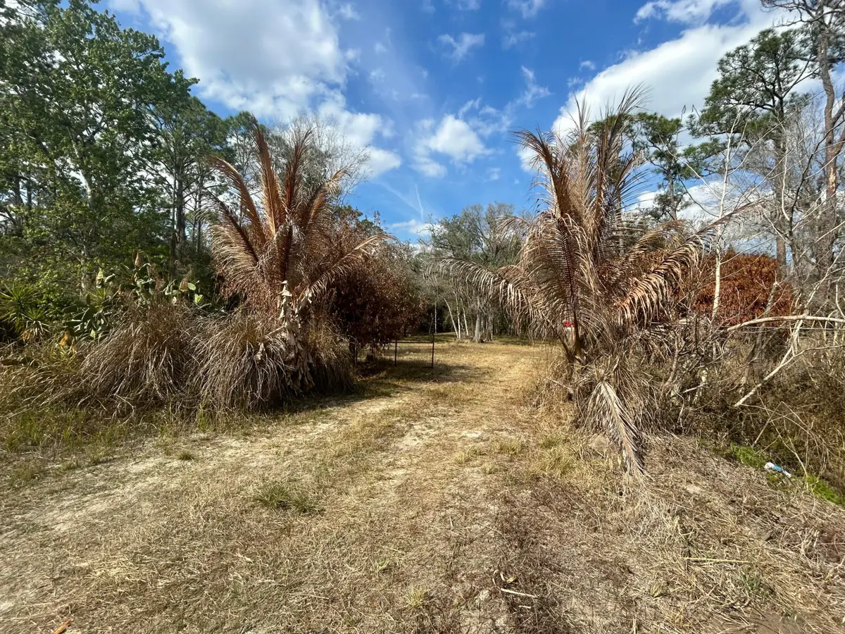 855 NW 368th Drive, Okeechobee, FL 34972 - #1