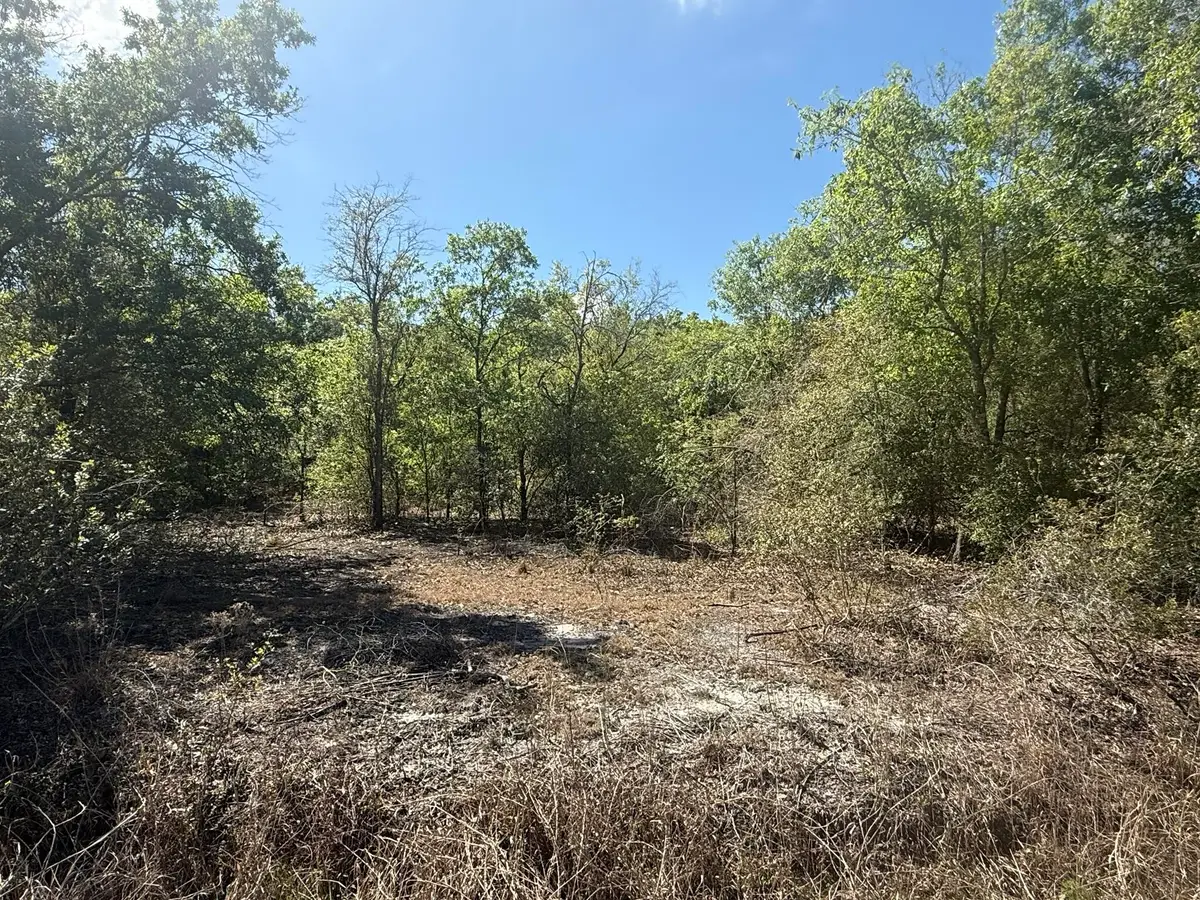 21668 NW 266th Street, Okeechobee, FL 34972 - #1