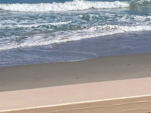 500 Ocean Drive #E-1a, Juno Beach, FL 33408 - #3