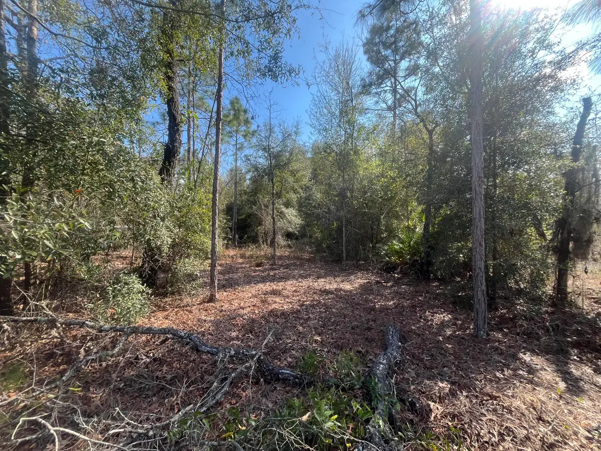 6291 Drake Avenue, Keystone Heights, FL 32656 - Image #1