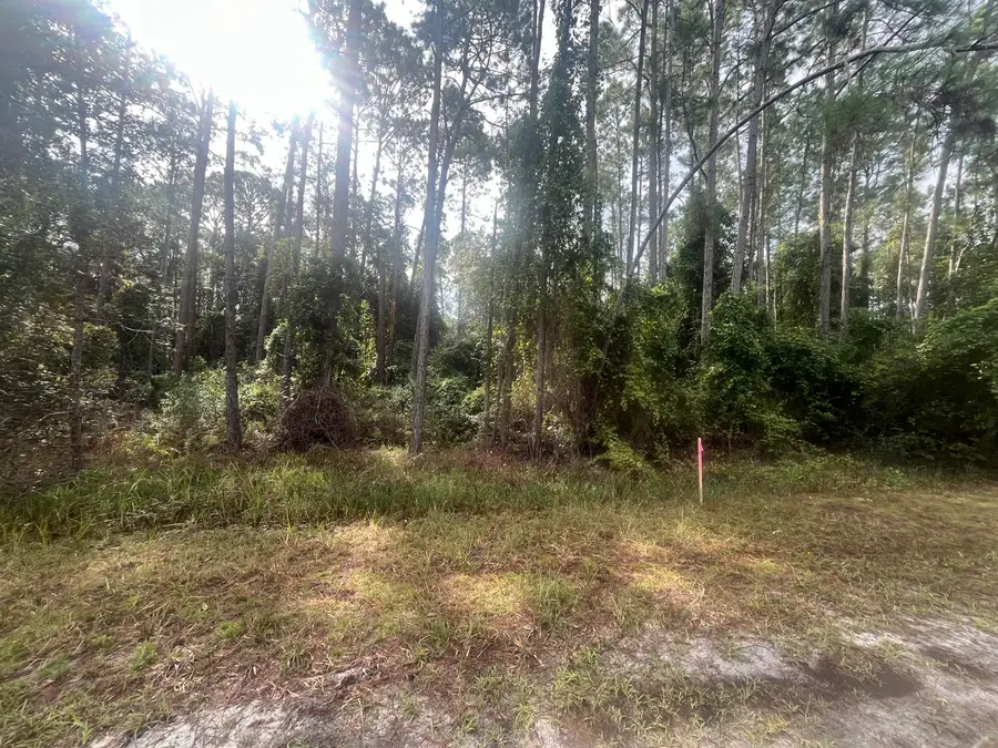 223 SE 2nd Street, Georgetown, FL 32139 - Image #2