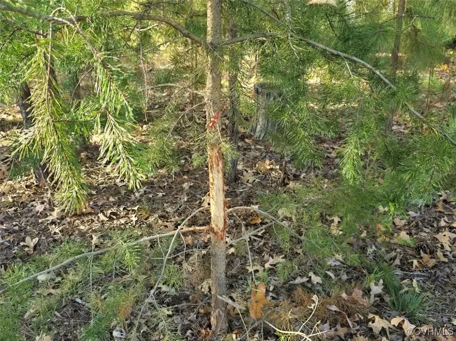 #3