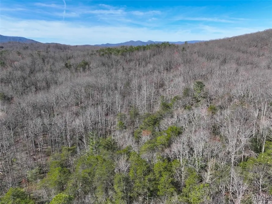 41.18 Acres (off Of) Pole Bridge Rd, Stuart, VA 24171 - Image #2