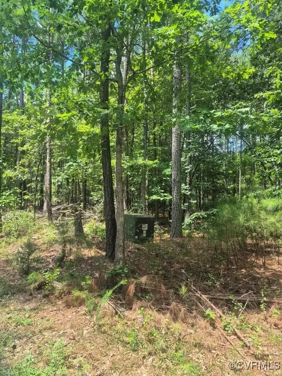 00 Hixburg Road, Prospect, VA 23960 - Image #2