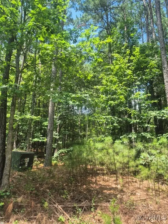 00 Hixburg Road, Prospect, VA 23960 - Image #3