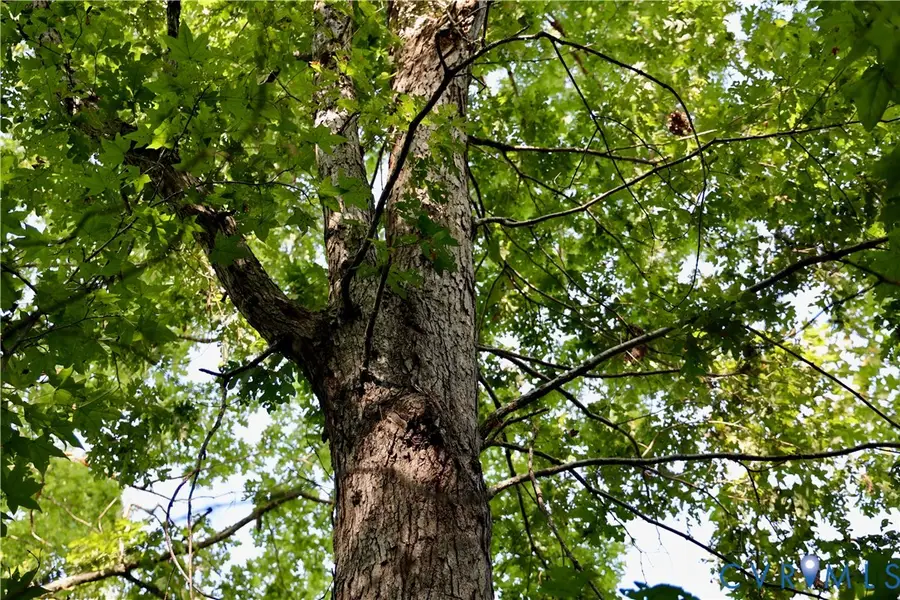 0 Quail Roost Road, Meherrin, VA 23954 - Image #2