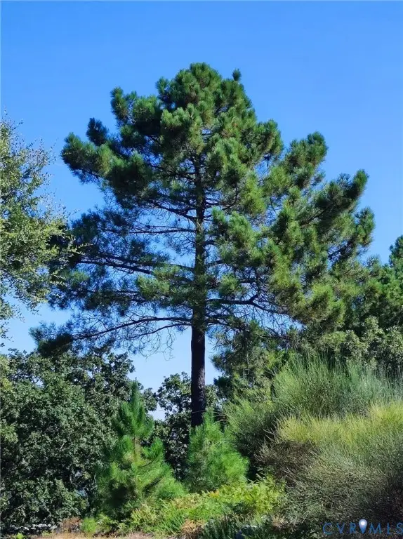 Address Withheld By Seller, Ruther Glen, VA 22546 - Image #2