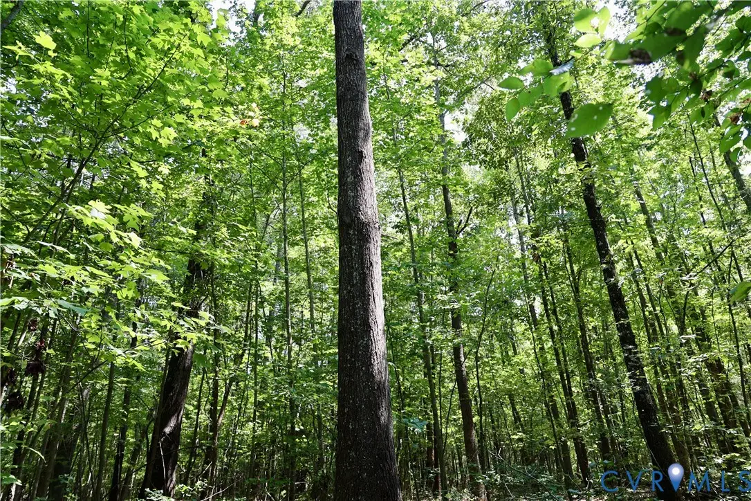 0 Bellevue Road, Halifax, VA 24588 - Image #1