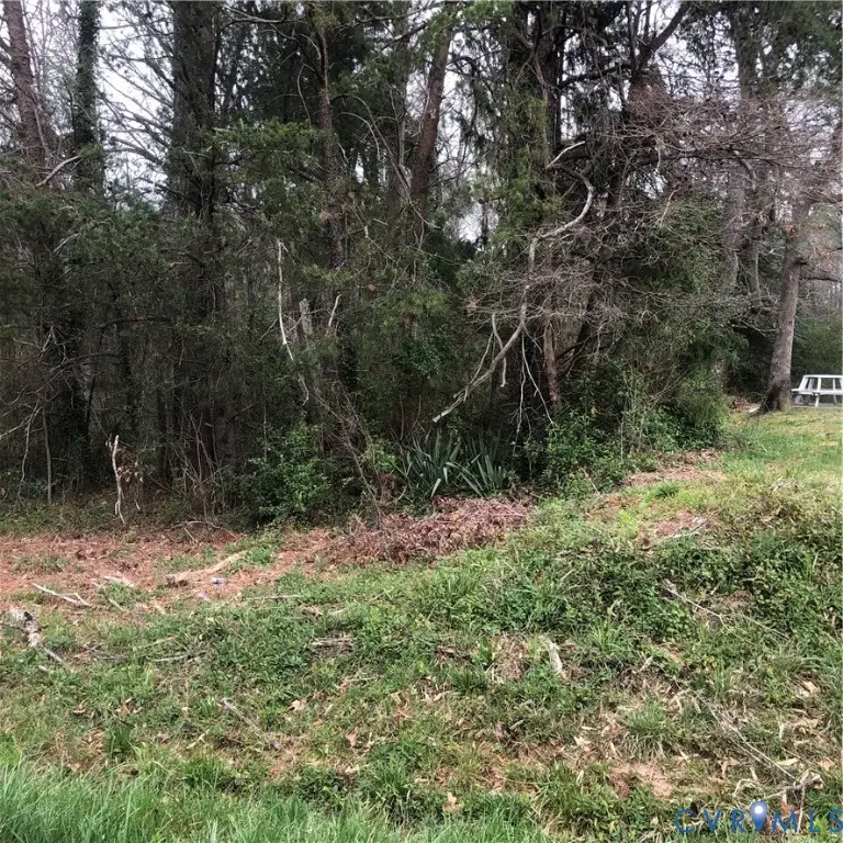 0 Braswell Street, Bowling Green, VA 22427 - Image #2