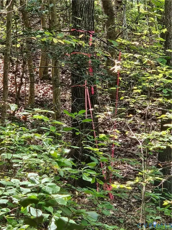 00 Off Of Long Branch Road, Woodford, VA 22580 - #1