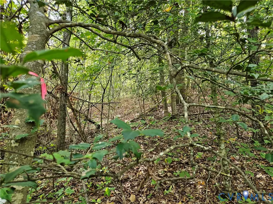 00 Off Of Long Branch Road, Woodford, VA 22580 - #3