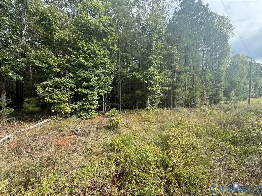 13.52 Westpoint Stevens Road, Drakes Branch, VA 23937 - Image #3