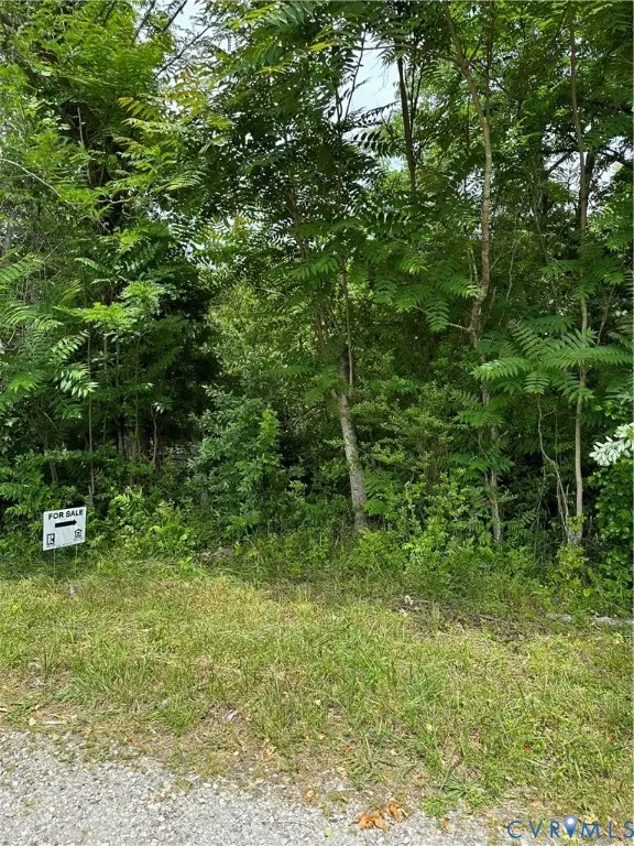 0 Winisfree, Blackstone, VA 23824 - Image #1