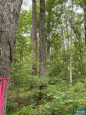 Lot 2 Waldrop Church Road, Louisa, VA 23093 - Image #2