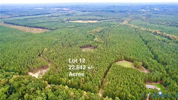 22 ACRES Rainey Creek Road, Mc Kenney, VA 23872
