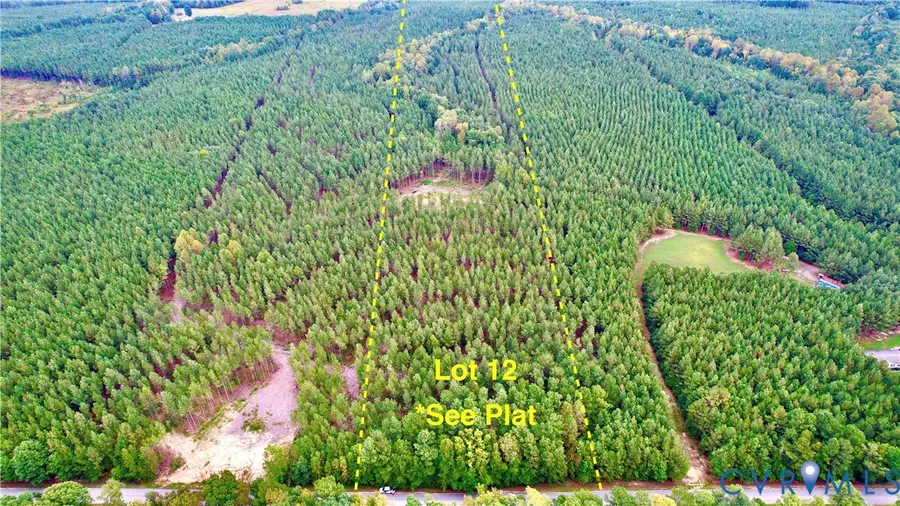 22 ACRES Rainey Creek Road, Mc Kenney, VA 23872 - Image #2