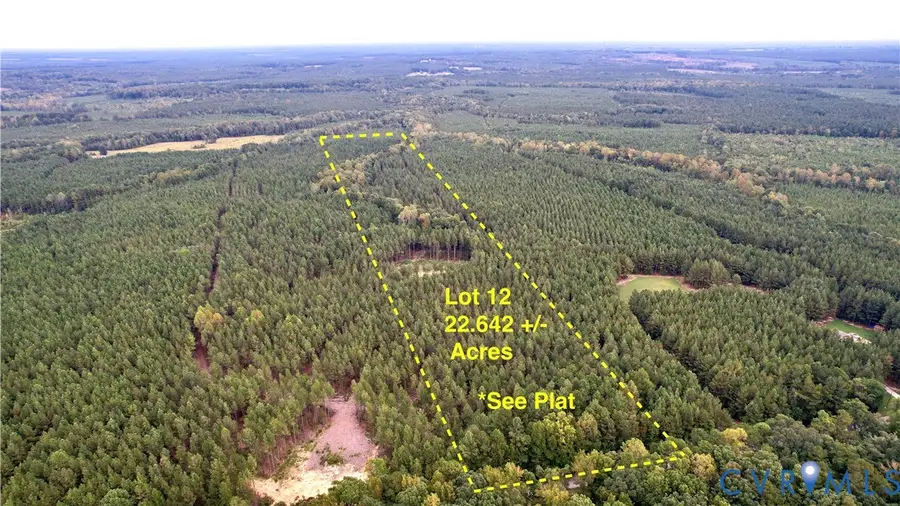 22 ACRES Rainey Creek Road, Mc Kenney, VA 23872 - Image #3