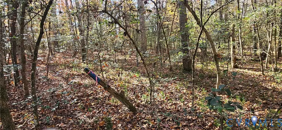 1 White House Lane, Center Cross, VA 22437 - Image #2